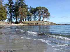 Looking Down Morning Beach
                                        from the Sands